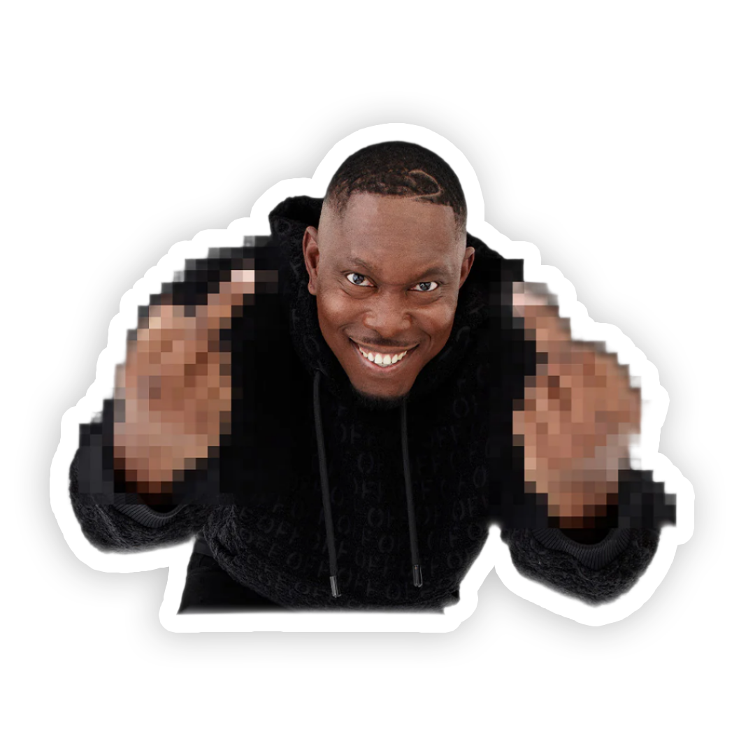 Dizzee Fridge Magnet